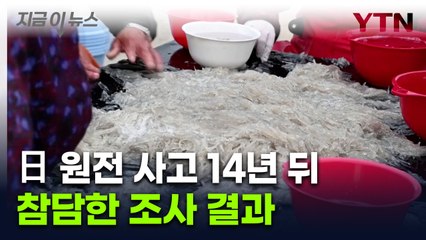 일본 후쿠시마 원전 사고 14년이 지났는데...탄식이 나오는 현황 [지금이뉴스]  / YTN