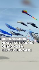20 baleines géantes dans le ciel de Berck-sur-Mer !
