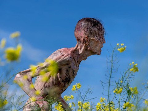 28 Years Later (28 ans plus tard): Trailer #2 HD VF