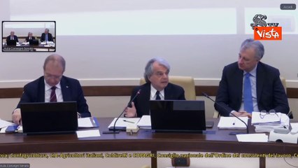 Brunetta (Cnel): "I dazi sono risposta sbagliata a uno squilibrio esistente nell'economia Usa"