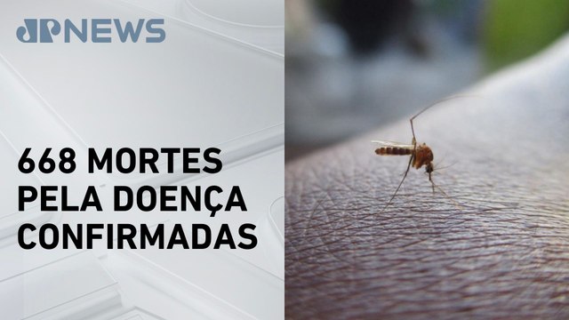 Brasil ultrapassa 1 milhão de casos prováveis de dengue em 2025