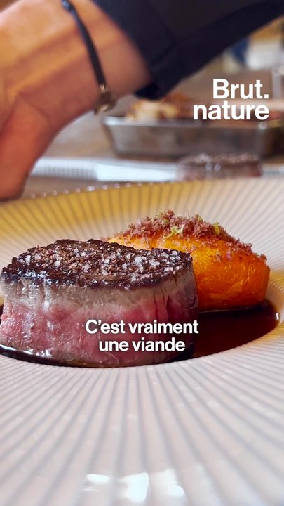 Il s’est lancé dans l’élevage de bœuf wagyu en France