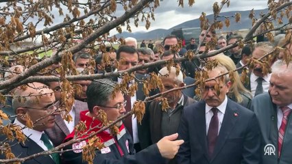 Tarım ve Orman Bakanı Yumaklı, zirai dondan etkilenen kayısı bahçesinde inceleme yaptı