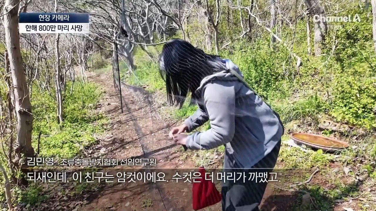 [현장 카메라]‘방음벽 충돌 막아라’ 특별한 실험