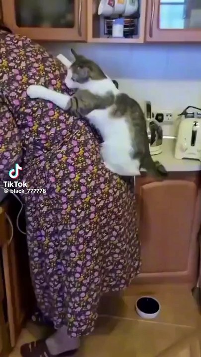 Gatinhosficou muito assistado kkkkkkkk