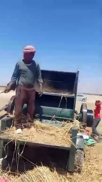 مع بشائر الخير تكتمل الفرحة.. جنوب سيناء تبدأ موسم حصاد القمح