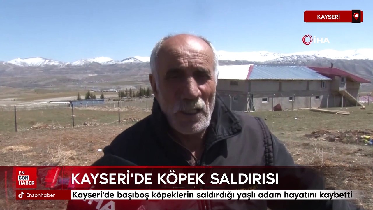 Kayseri'de başıboş köpeklerin saldırdığı yaşlı adam hayatını kaybetti