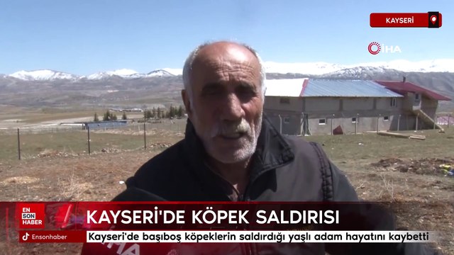 Kayseri'de başıboş köpeklerin saldırdığı yaşlı adam hayatını kaybetti