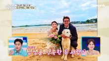 프랑스의 제주도? 유럽인들의 NO.1 휴양지, 독특한 지방색과 특별함이 매력적인 브르타뉴로 GO!