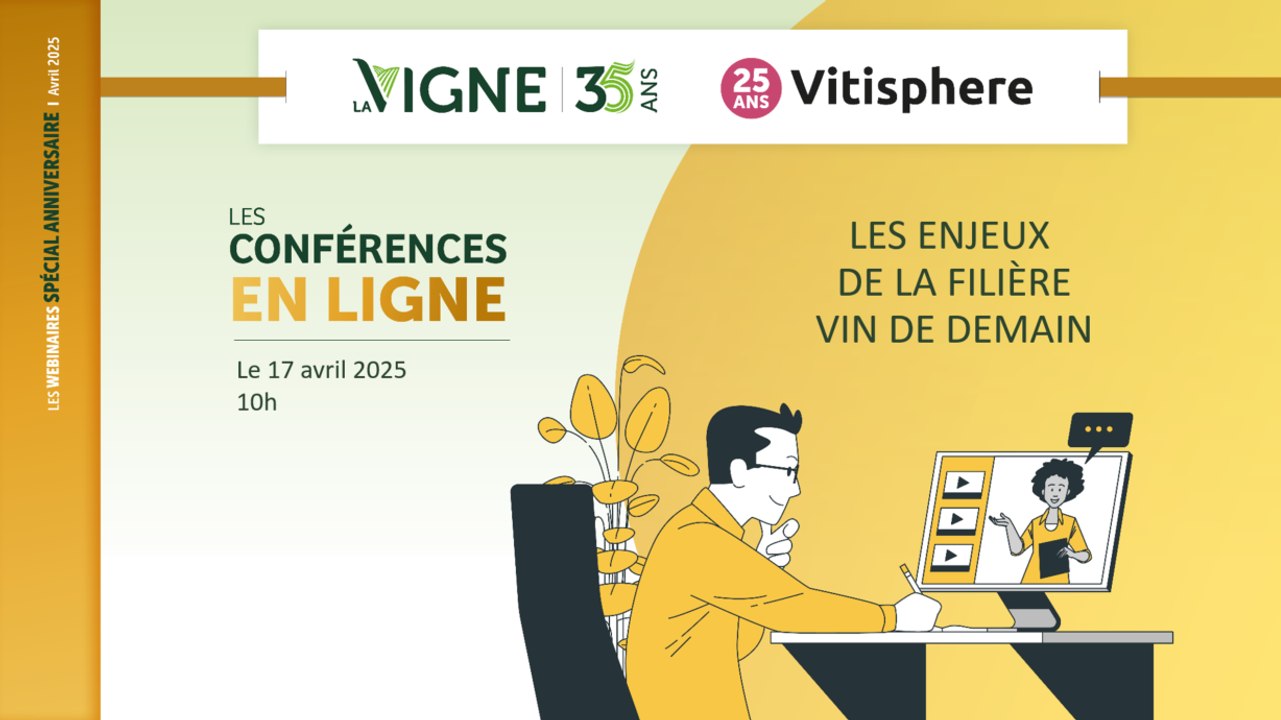 Les enjeux de la filière vin de demain
