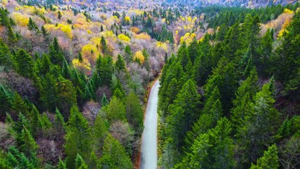 Spectacular 4K HDR Video ULTRA HD Dolby Vision @4k @hdr_4K