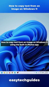 How to copy text from an image on Windows 11