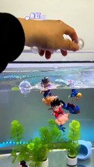 Ikan hias di akuarium