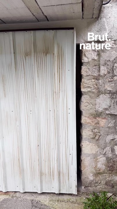 Jean-Noël Falcou et la culture traditionnelle du pays grassois