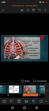 Anatomical Position And Directional Terms- Anatomical Terms- Directional Terms (1)