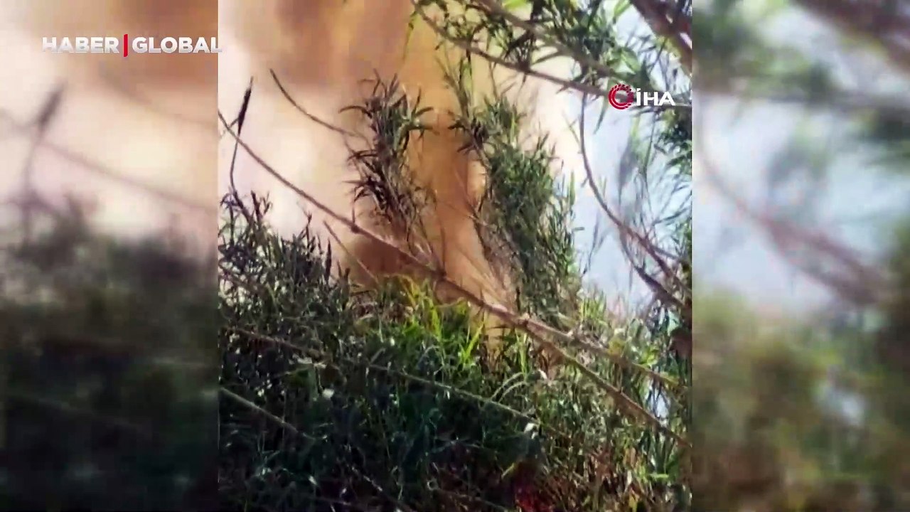 Arsuz'da sazlık yangını