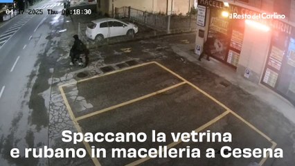 Spaccano la vetrina e rubano in macelleria a Cesena: video