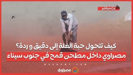 كيف تتحول حبة الغلة إلى دقيق و ردة؟.. مصراوي داخل مطحن قمح في جنوب سيناء