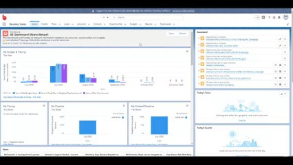 Search in Salesforce