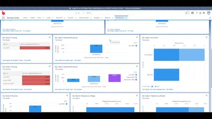 Manager Report & Dashboard