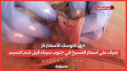 جهز فلوسك الأسعار نار.. تعرف على أسعار الفسيخ في جنوب سيناء قبل شم النسيم