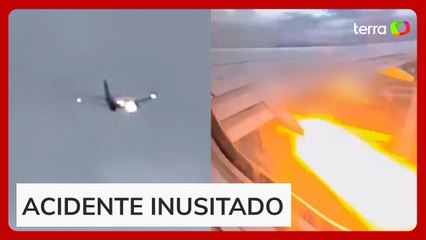 Avião faz pouso de emergência após turbina pegar fogo por sugar coelho nos EUA