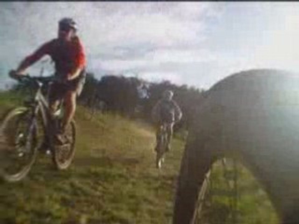 VTT LAROIN 2008