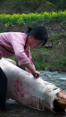 Drumming Traditions: Crafting The Cultural Legacy of Cowhide Drums