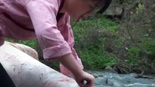 Drumming Traditions: Crafting The Cultural Legacy of Cowhide Drums