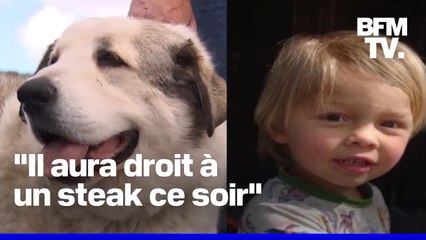 Un garçon de 2 ans passe la nuit dans un désert où rôdent des pumas avant d'être sauvé par un chien
