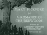 A Romance of the Redwoods (1917)