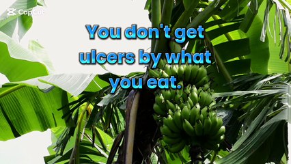 You don't get ulcers by what you eat
