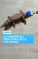 La légende du crocodile de la collégiale Saint-Maurice d'Oiron