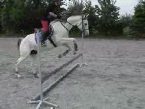 Séance CSO du 07-05-08