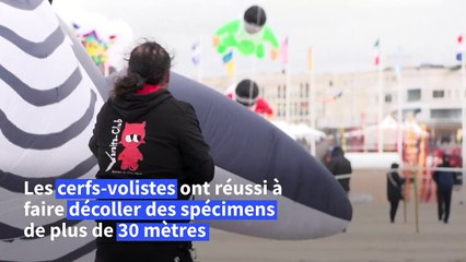 Berck: record du monde de cerfs-volants géants en forme de baleine