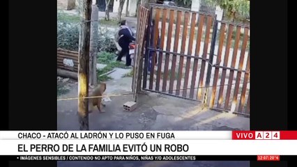 😱 EL PERRO DE LA FAMILIA EVITÓ UN ROBO