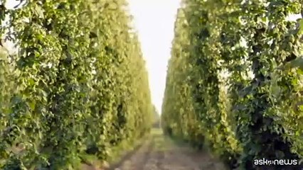 Birrificio Angelo Poretti, talk istituzionale Carlsberg Italia