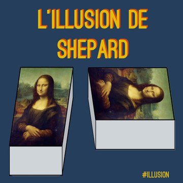 L'illusion de Shepard ✨ : ces deux tableaux ont la même taille !