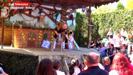 Mont Mosan Chien magique