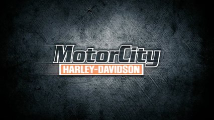 The Harley-Davidson Lifestyle - It gets in your blood!