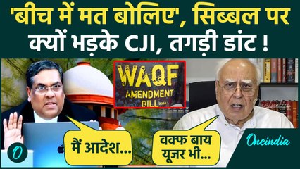 CJI Khanna on Waqf Law: वक्फ कानून पर Supreme Court में Kapil Sibal पर क्यों भड़के CJI | वनइंडिया