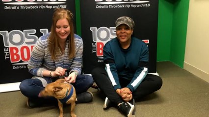 Doggy Dog Thursday: Scooby