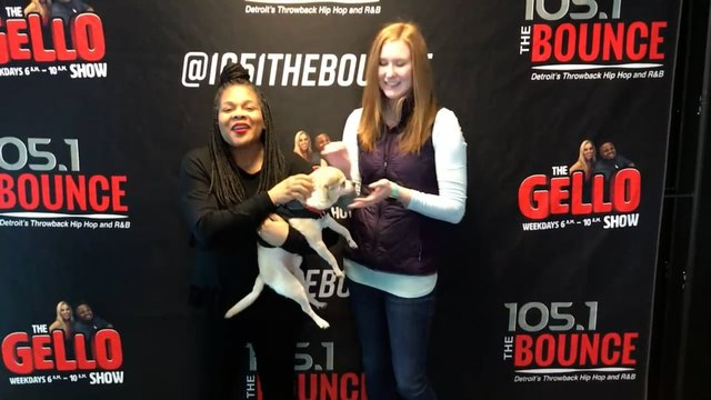 Doggy Dog Thursday: Mr. Gomez