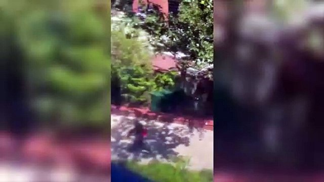 Hay al menos seis heridos y una persona fue detenida en el tiroteo en la Universidad de Florida