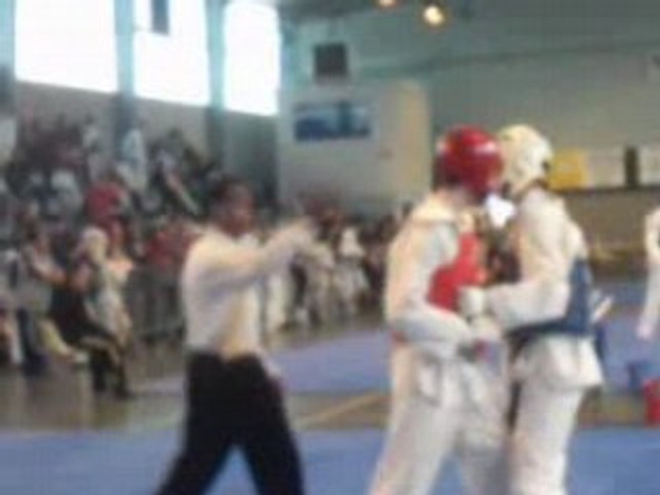 taekwondo