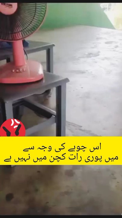 funny video 😂