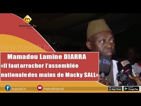 Mamadou Lamine Diallo: Il faut arracher l'Assemblée Nationale des mains de Macky Sall