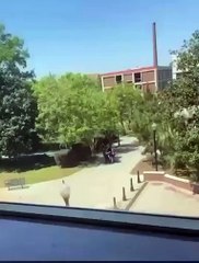 El indicado como autor del cruento ataque se encuentra bajo custodia.