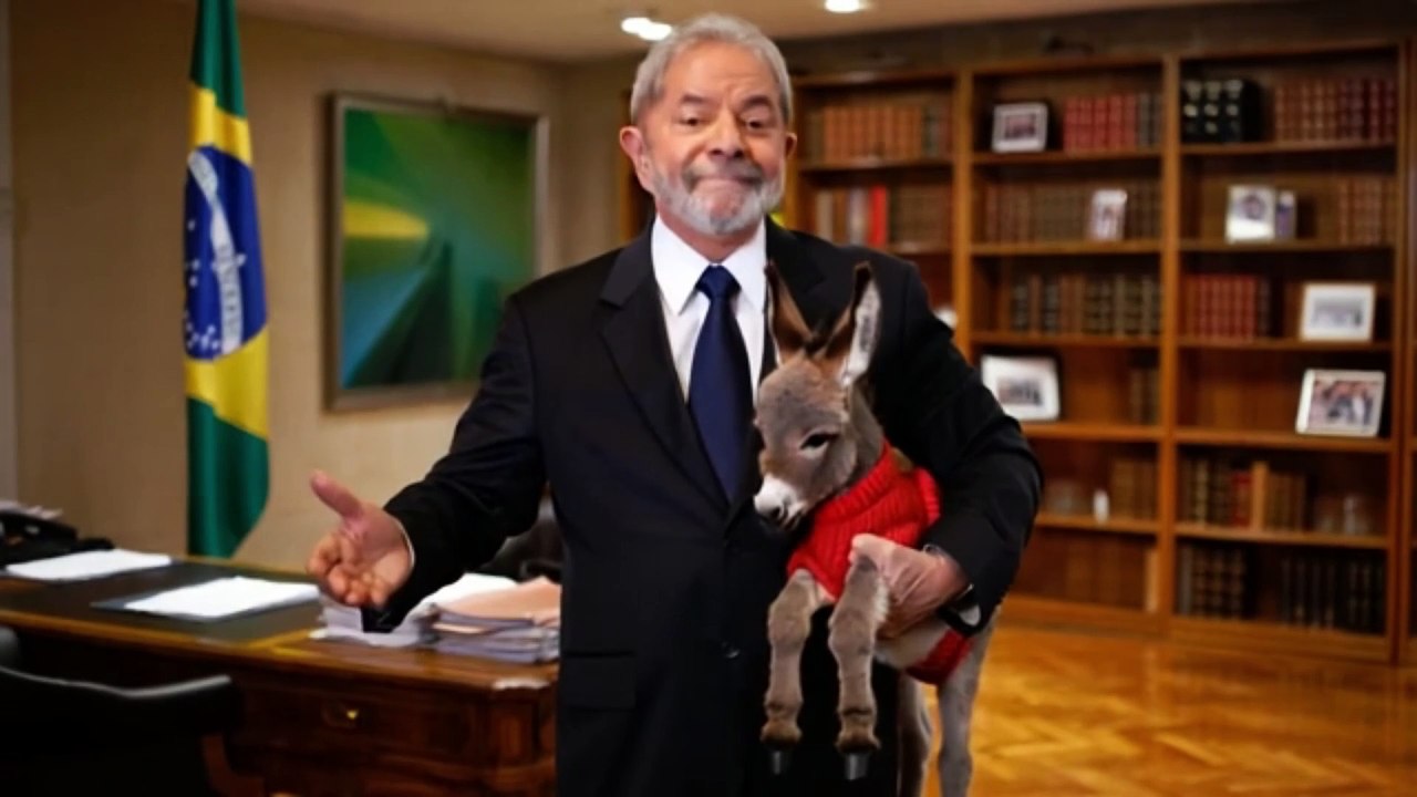 Chegou cadastro nacional de Pet 100% sem imposto pode confiar