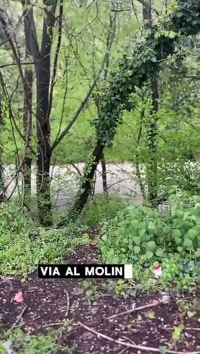 Collegno - Dopo due giorni intensi sul fronte delle precipitazioni atmosferiche  (17.04.25)